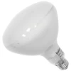 Super-Pro 500w Incandescent Reflector Bulb
