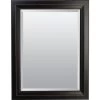 American Pride® 23 X 41" Decorative Framed Beveled Mirror - 2.75" Venetian Bronze