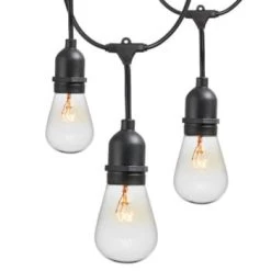 Newhouse Lighting 25 Feet String Lights With 10 Bulb