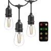 Newhouse Lighting 15-Light 48 Ft Outdoor Led String Light W/ Remote Control Dimmer (Black)