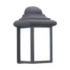 Sea Gull Lighting® Mulberry Hill 8.75 In. 1-Light Outdoor Lantern (Black/white)