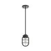 Hunter® Starklake 1-Light Pendant Fixture (Nobel Bronze)