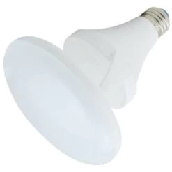 Green Creative 14W BR40 LED Reflector Bulb (3000K) (6-Pack)