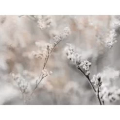 Red Roof Inn® Vintage Cotton 36Wx24H Espresso Framed Artwork