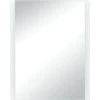 Tosca 24x 30frameless Led Wall Mirror, Anti-Fog, Adjustable Color Temp
