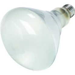 65w 100° 0.542a Br40 Incandescent Reflector Bulb (12-Pack)