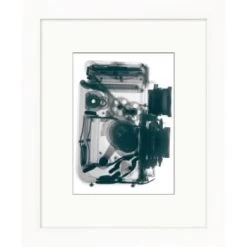 Clearwater Art Collection Xray, Trendy Scheme, White Frame