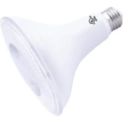 Maintenance Warehouse® 13w Par38 Led Reflector Bulb (3000k) (6-Pack)