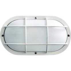 GENERIC 4.5 X 10.63 In 11 Watt Outdoor Led Wall Lantern (White)