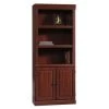 Sauder® Classic Cherry Hill 2-Door Bookcase